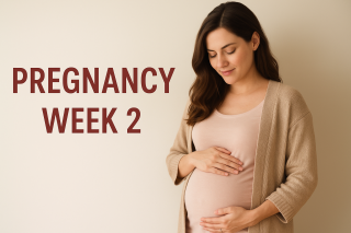 Pregnancy Week 2 symptoms: Ovulation, Fertility