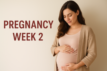 Pregnancy Week 2 symptoms: Ovulation, Fertility