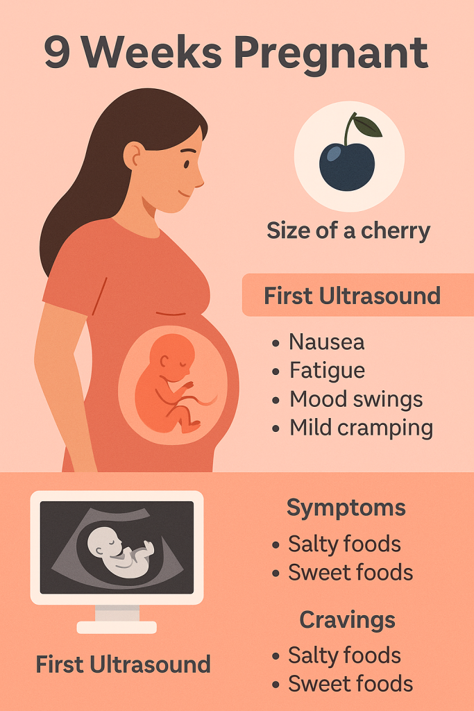 👶 9 Weeks Pregnant baby size: