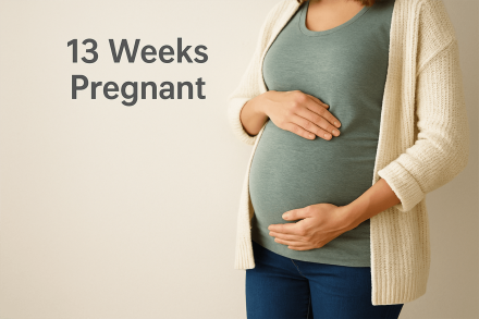 13 Weeks Pregnant: Belly, Symptoms & Baby Development