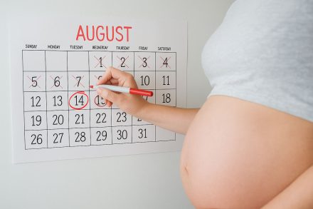 14 Weeks Pregnant: Baby Gender Prediction